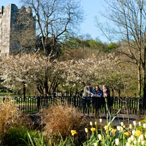 Blarney Castle, Co_Web Size